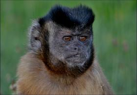 ZOO Tábor – zvířátka na jihu Čech