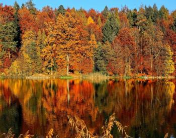 Podzim, čas barevné proměny a zaslouženého odpočinku