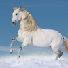 shutterstock-130026680