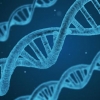 dna-1811955-171115-132339-mos